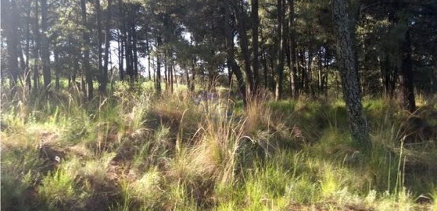 VENTA DE TERRENO RURAL BOSCOSO EN SAN BARTOLOME CUAUHUIZMATLA