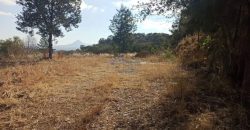 VENTA DE TERRENO CON VISTA PANORÁMICA EN SANTA MA ATLIHUETZIA