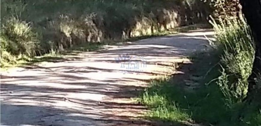 VENTA DE TERRENO RURAL BOSCOSO EN SAN BARTOLOME CUAUHUIZMATLA