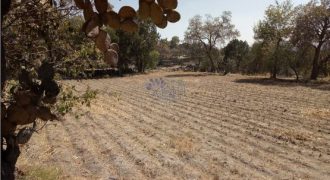 VENTA DE TERRENO EN TETLA PARA RANCHO CON CASONA DE PIEDRA