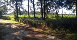 VENTA DE TERRENO RURAL BOSCOSO EN SAN BARTOLOME CUAUHUIZMATLA