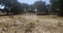 VENTA DE LOTE EN PRIVADA EN BELEN ATZITZIMITITLAN