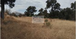 VENTA DE TERRENO IDEAL PARA FRACC. RESIDENCIAL O RANCHO ATLIHUETZIA