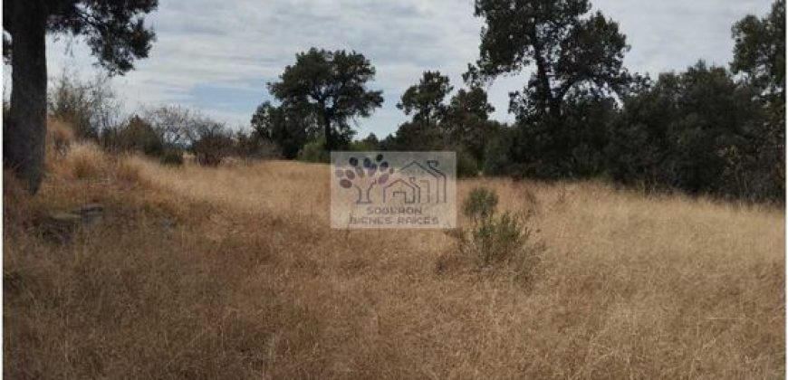 VENTA DE TERRENO IDEAL PARA FRACC. RESIDENCIAL O RANCHO ATLIHUETZIA