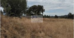 VENTA DE TERRENO IDEAL PARA FRACC. RESIDENCIAL O RANCHO ATLIHUETZIA