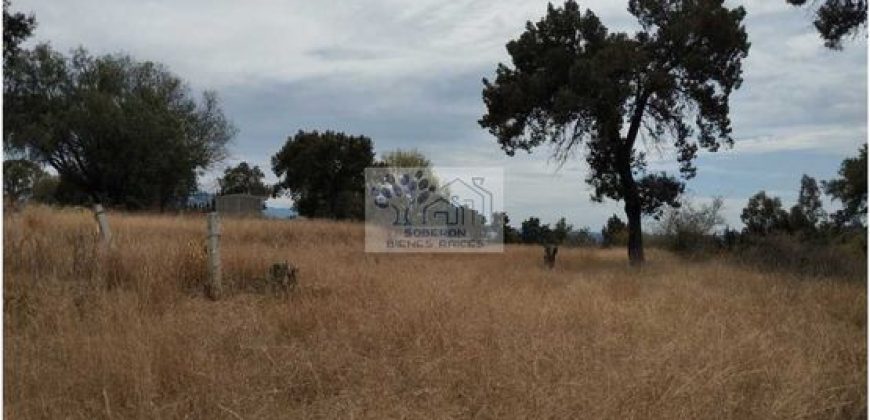 VENTA DE TERRENO IDEAL PARA FRACC. RESIDENCIAL O RANCHO ATLIHUETZIA