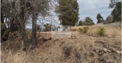 VENTA DE TERRENO IDEAL PARA FRACC. RESIDENCIAL O RANCHO ATLIHUETZIA