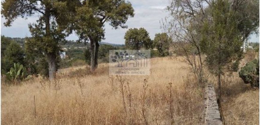 VENTA DE TERRENO IDEAL PARA FRACC. RESIDENCIAL O RANCHO ATLIHUETZIA