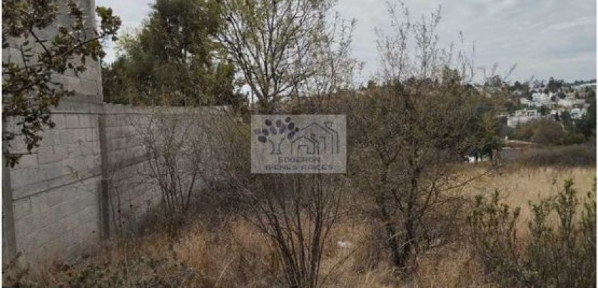 VENTA DE TERRENO IDEAL PARA FRACC. RESIDENCIAL O RANCHO ATLIHUETZIA