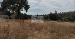 VENTA DE TERRENO IDEAL PARA FRACC. RESIDENCIAL O RANCHO ATLIHUETZIA