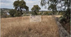 VENTA DE TERRENO IDEAL PARA FRACC. RESIDENCIAL O RANCHO ATLIHUETZIA