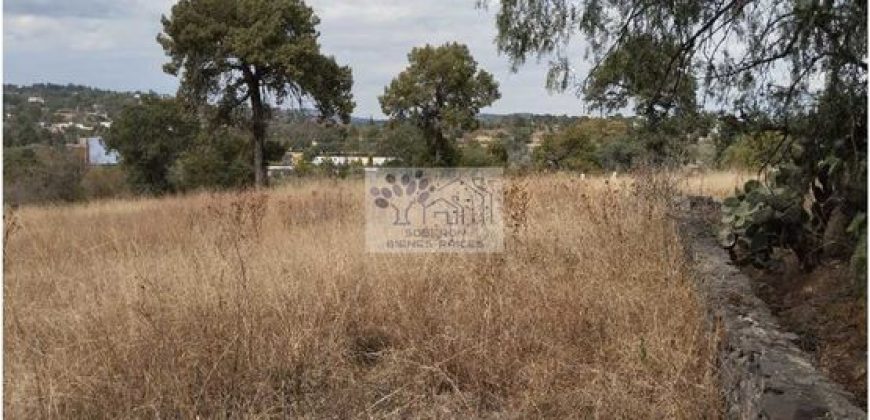 VENTA DE TERRENO IDEAL PARA FRACC. RESIDENCIAL O RANCHO ATLIHUETZIA