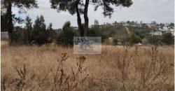 VENTA DE TERRENO IDEAL PARA FRACC. RESIDENCIAL O RANCHO ATLIHUETZIA