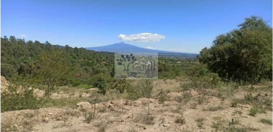 VENTA DE 6.6 HAS RURALES EN IXTACUIXTLA DE MARIANO MATAMOS