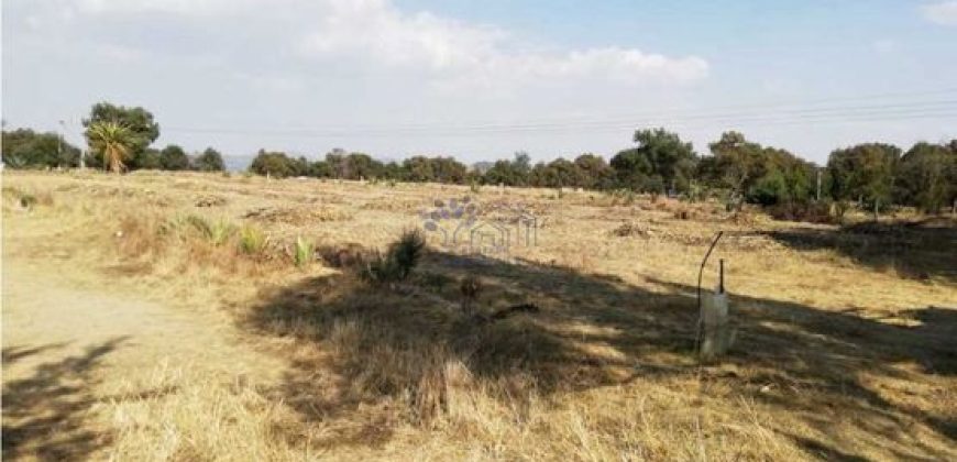 VENTA TERRENO EN TOPILCO DE JUÁREZ XALTOCAN